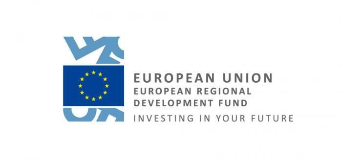 EU logo EN